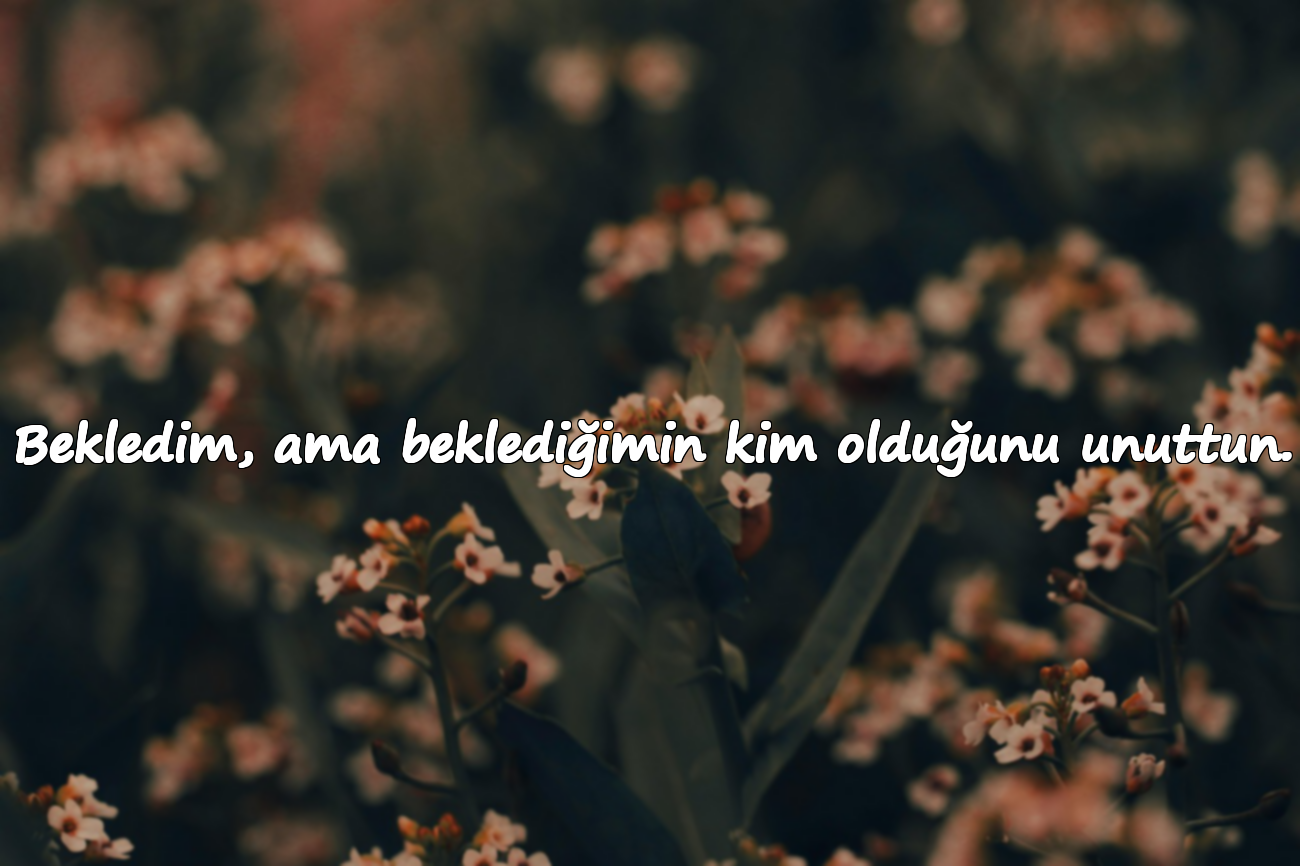 Bekledim, ama beklediğimin kim olduğunu unuttun.