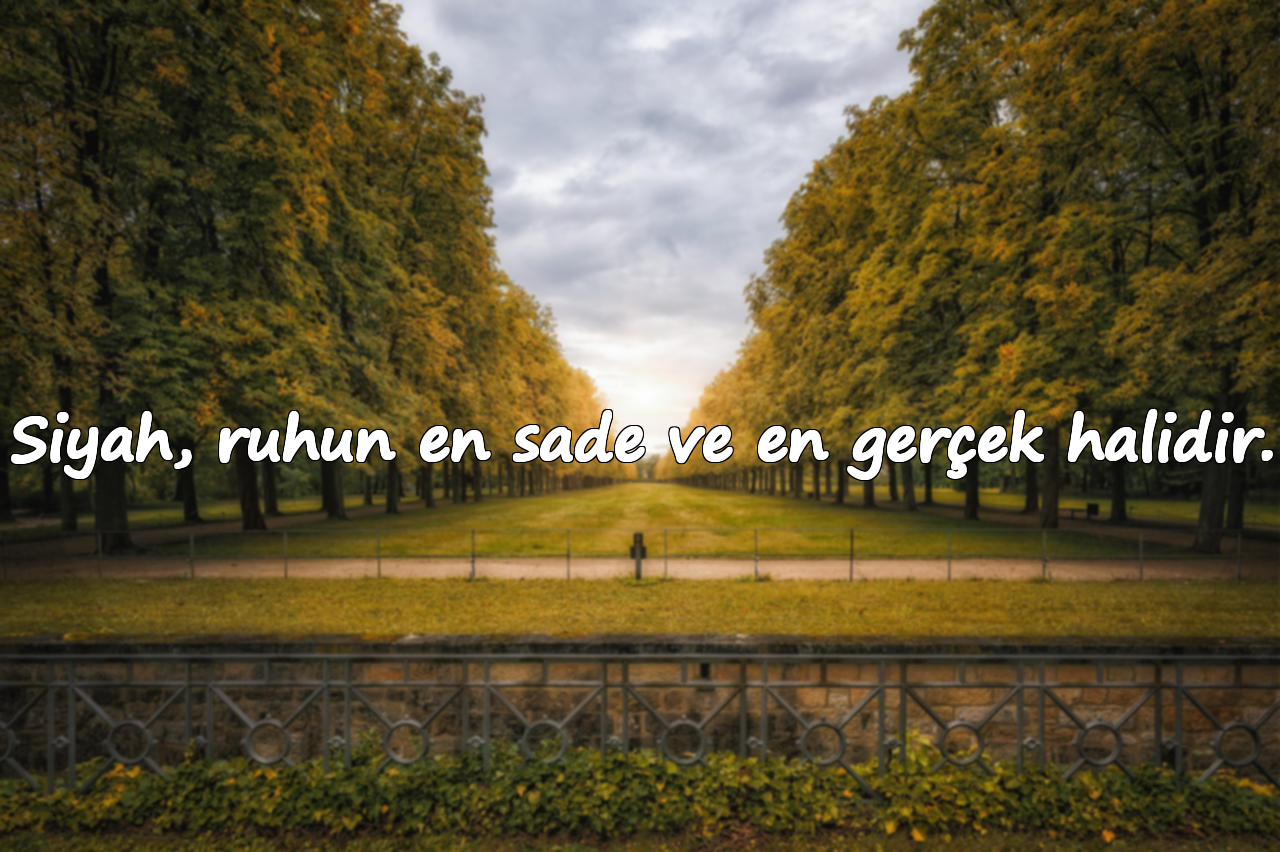 Siyah, ruhun en sade ve en gerçek halidir.