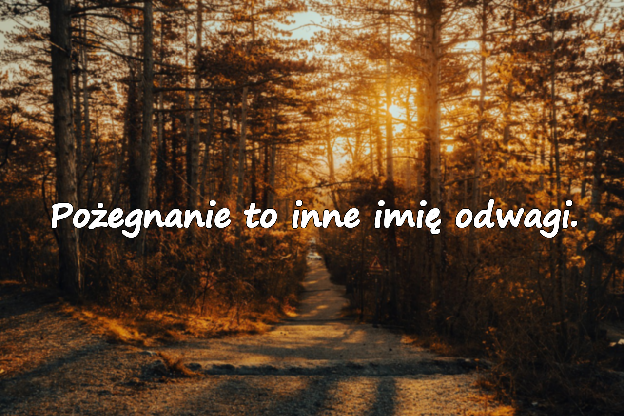 Pożegnanie to inne imię odwagi.