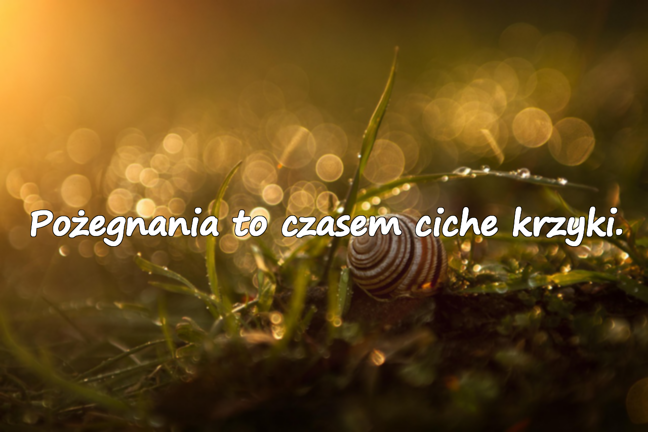 Słowa Pożegnania