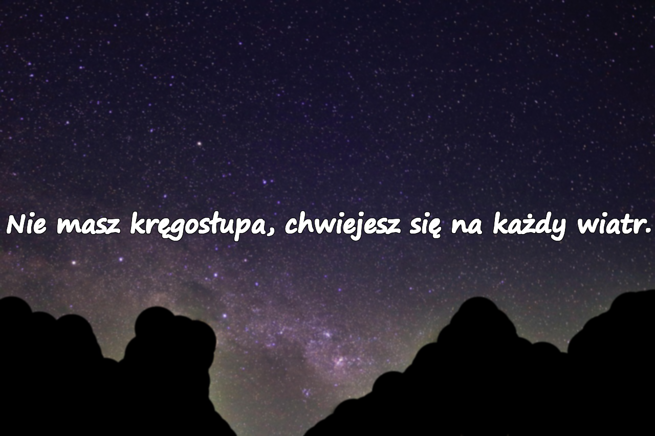 Nie masz kręgosłupa, chwiejesz się na każdy wiatr.