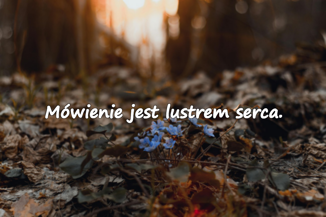 Mówienie jest lustrem serca.