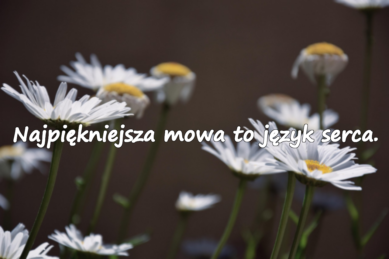 Najpiękniejsza mowa to język serca.