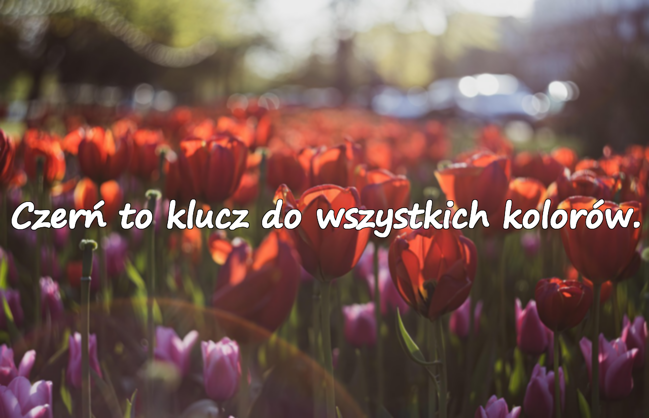Czerń to klucz do wszystkich kolorów.