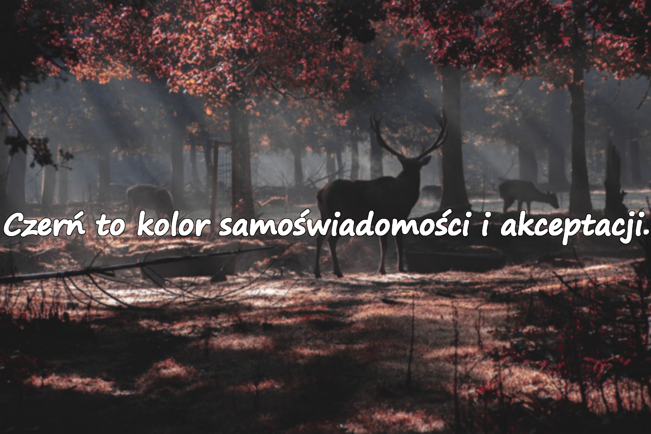Czerń to kolor samoświadomości i akceptacji.