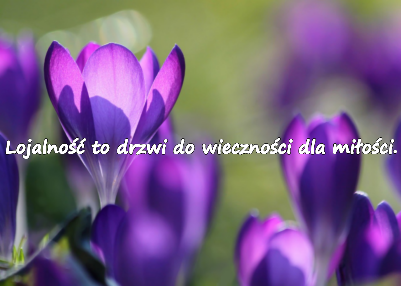 Lojalność to drzwi do wieczności dla miłości.
