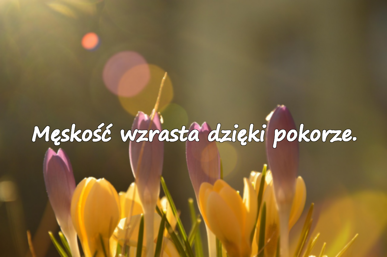 Słowa o męskości / uczciwości