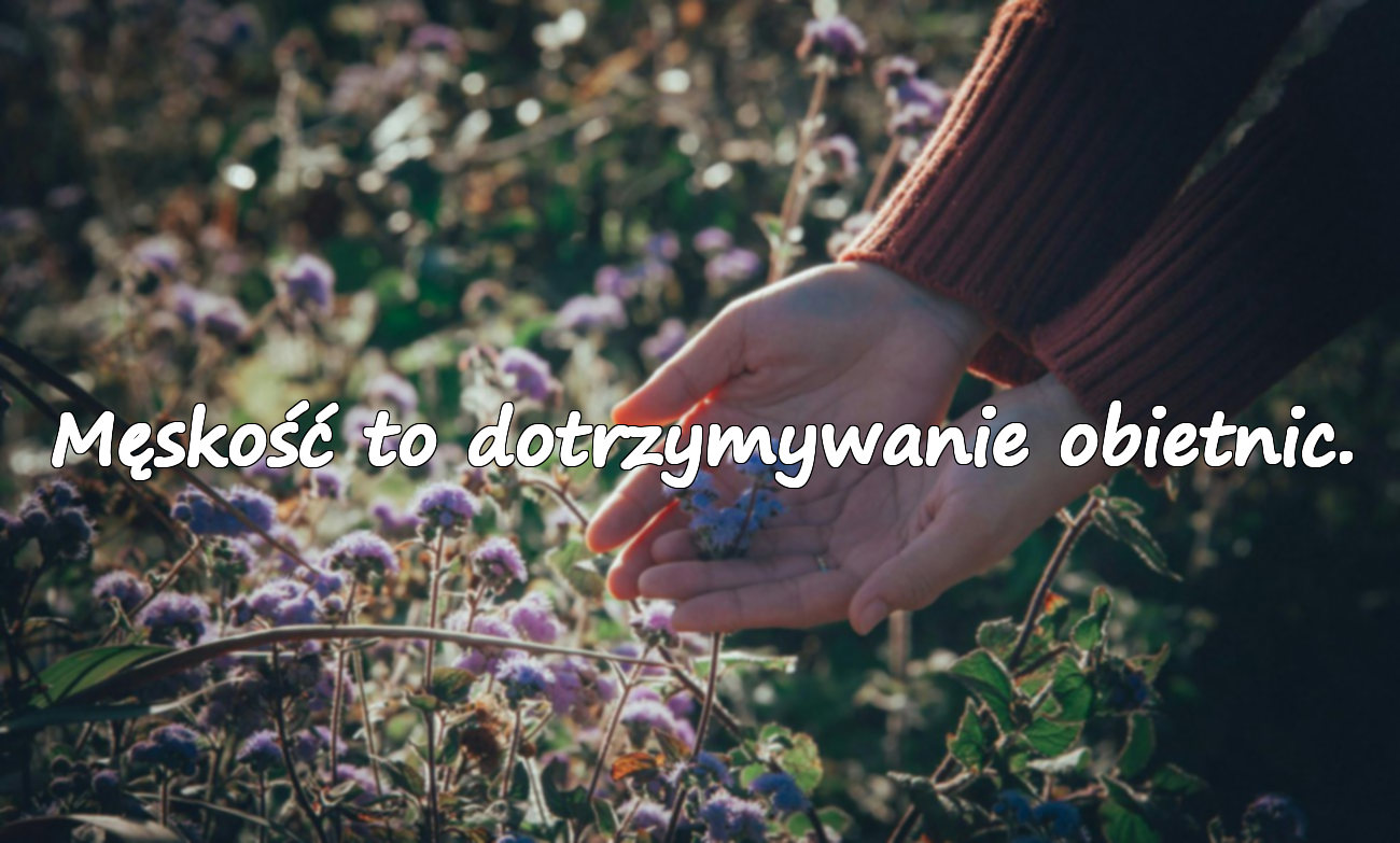 Słowa o męskości / uczciwości