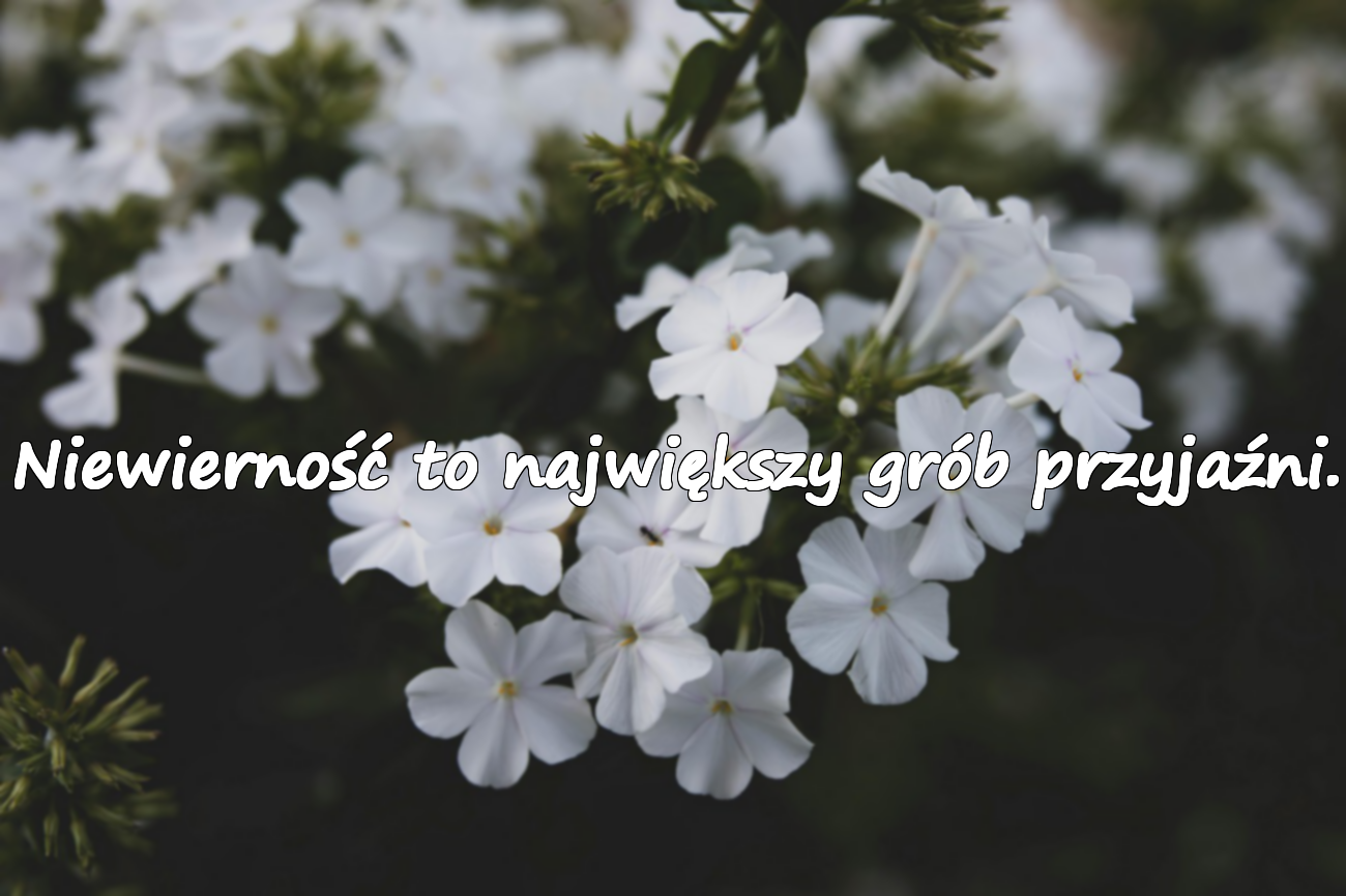Niewierność to największy grób przyjaźni.
