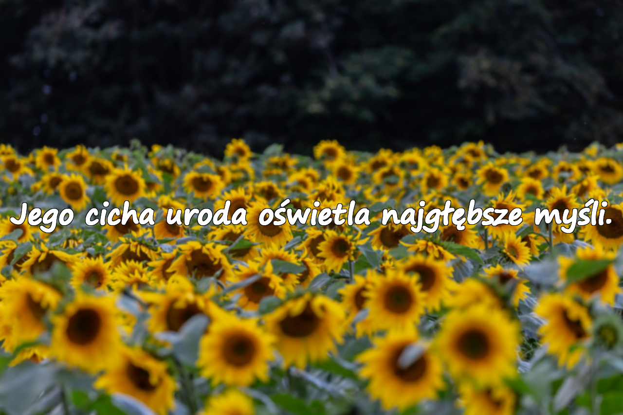 Słowa o półksiężycu
