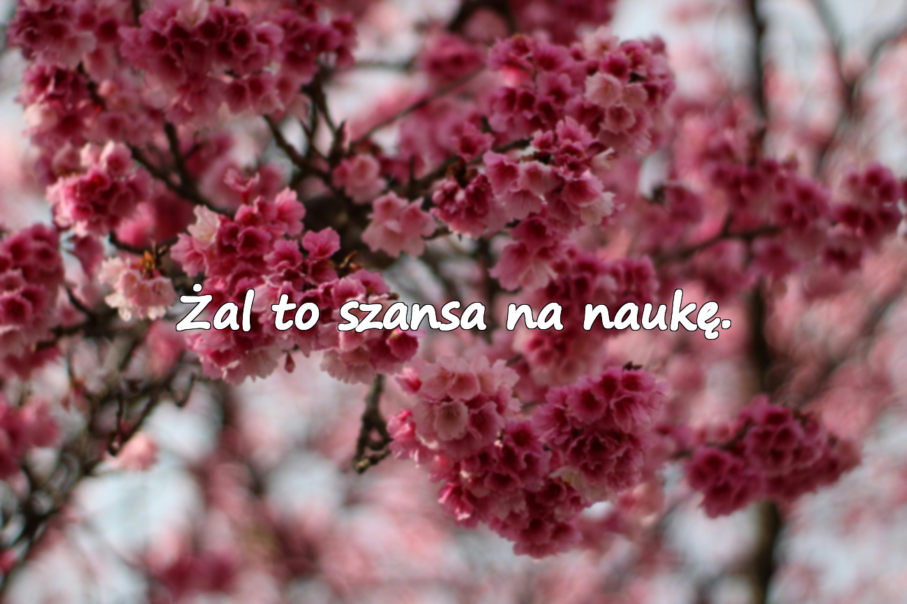 Słowa o żalu