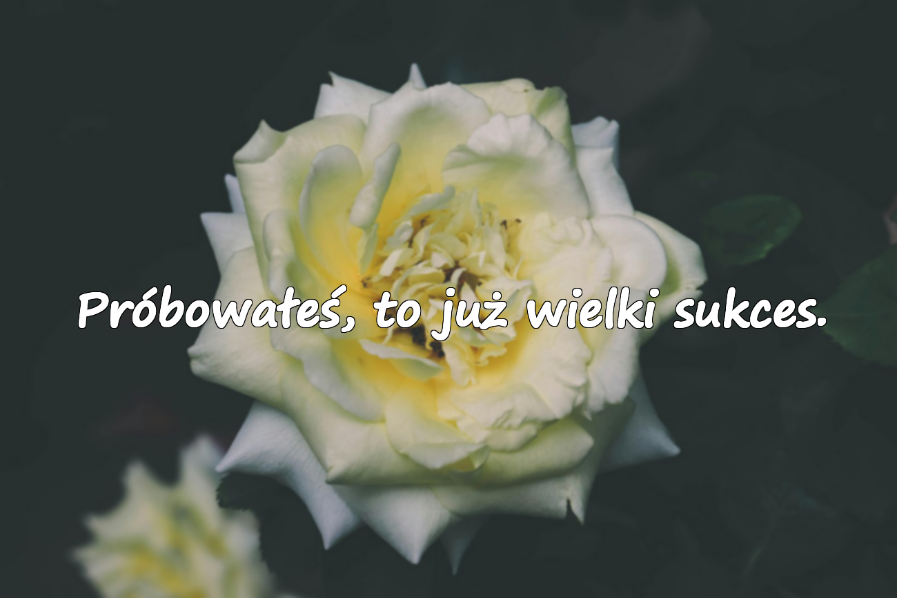 Słowa o żalu