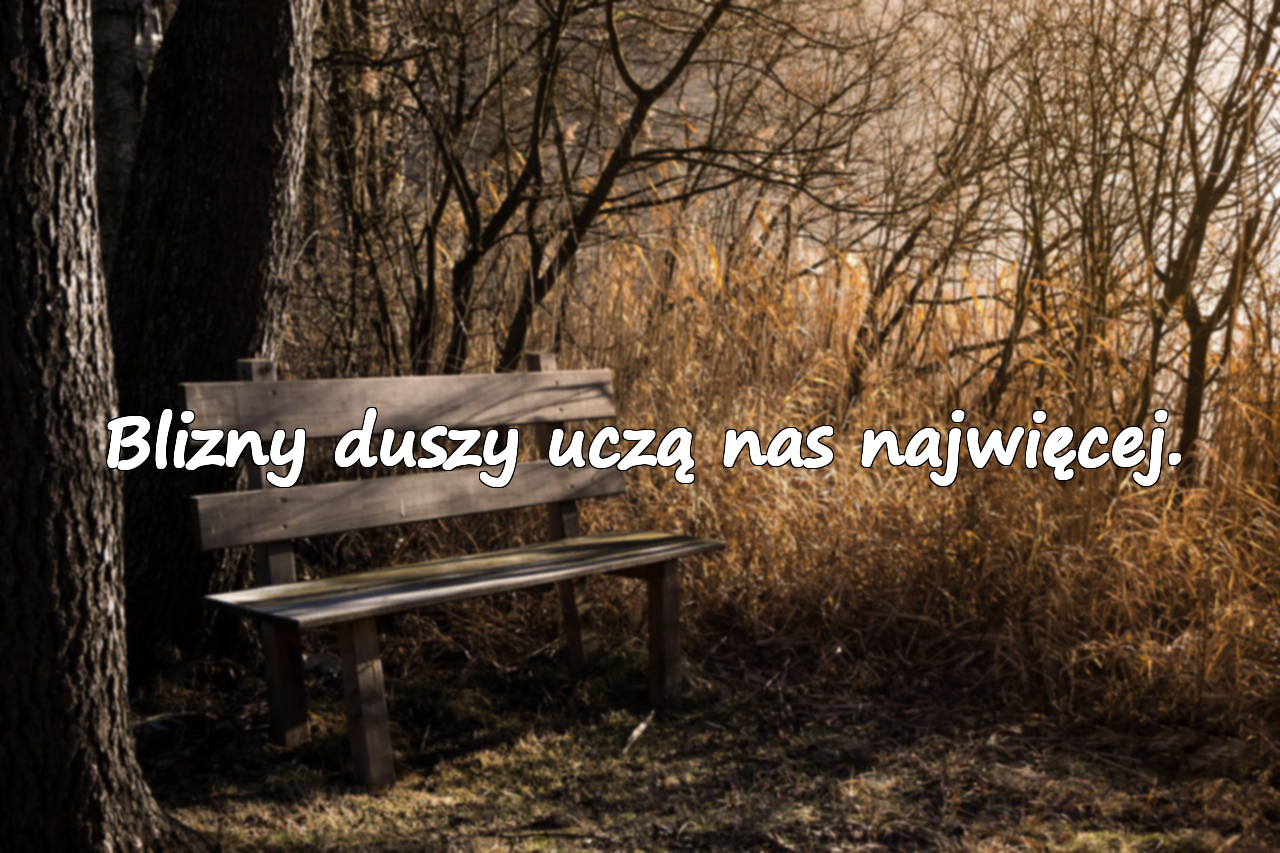 Blizny duszy uczą nas najwięcej.