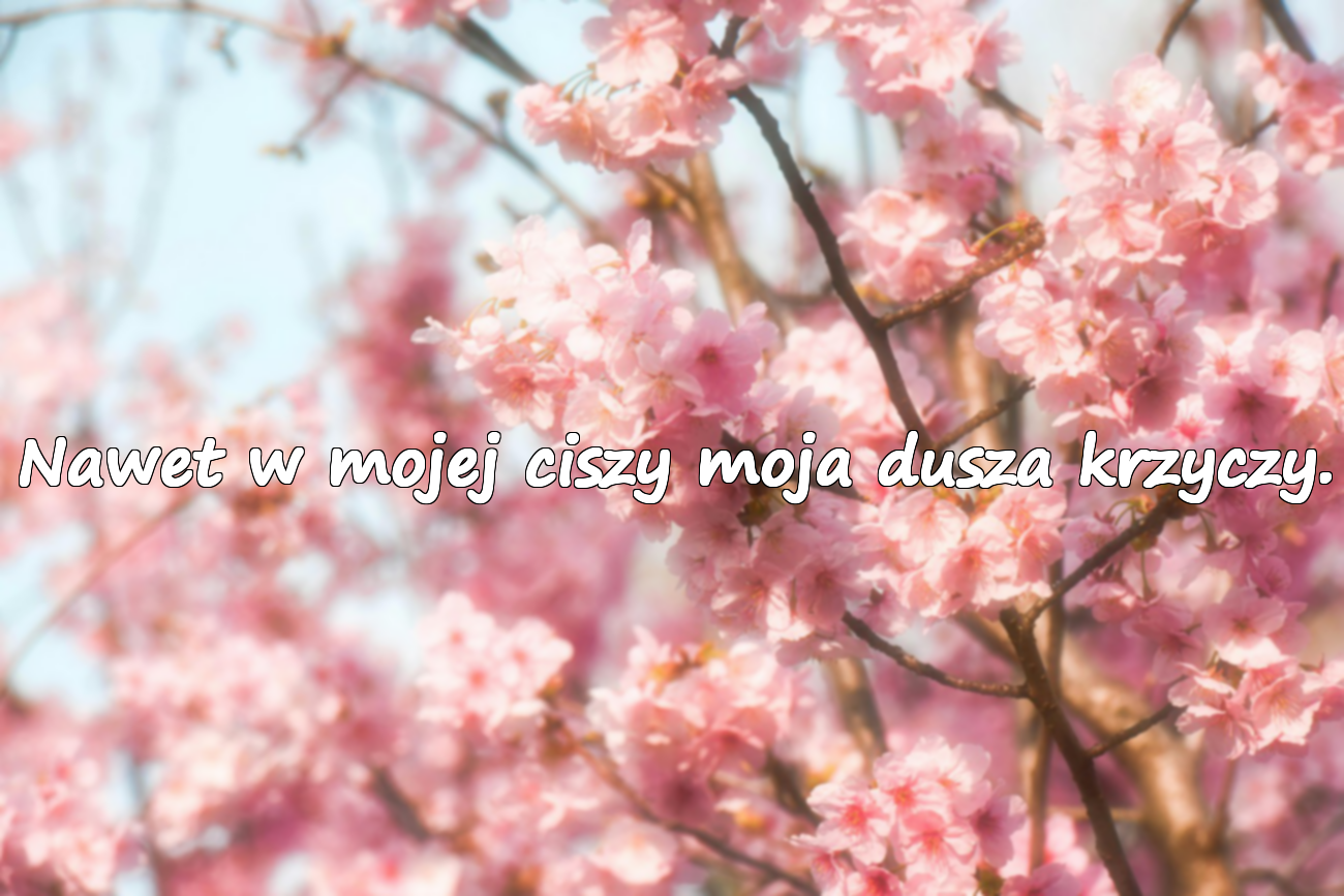 Nawet w mojej ciszy moja dusza krzyczy.