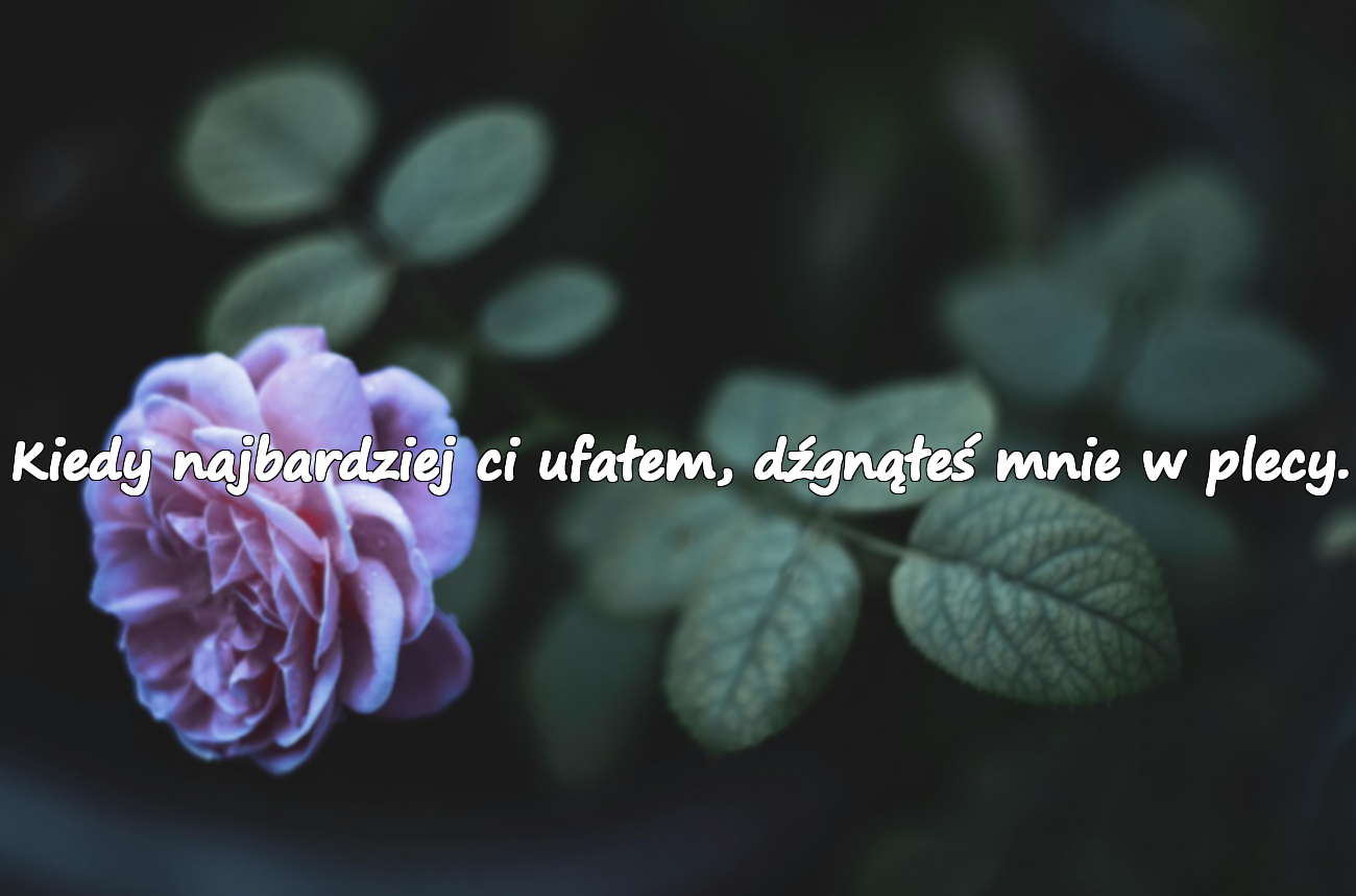 Kiedy najbardziej ci ufałem, dźgnąłeś mnie w plecy.