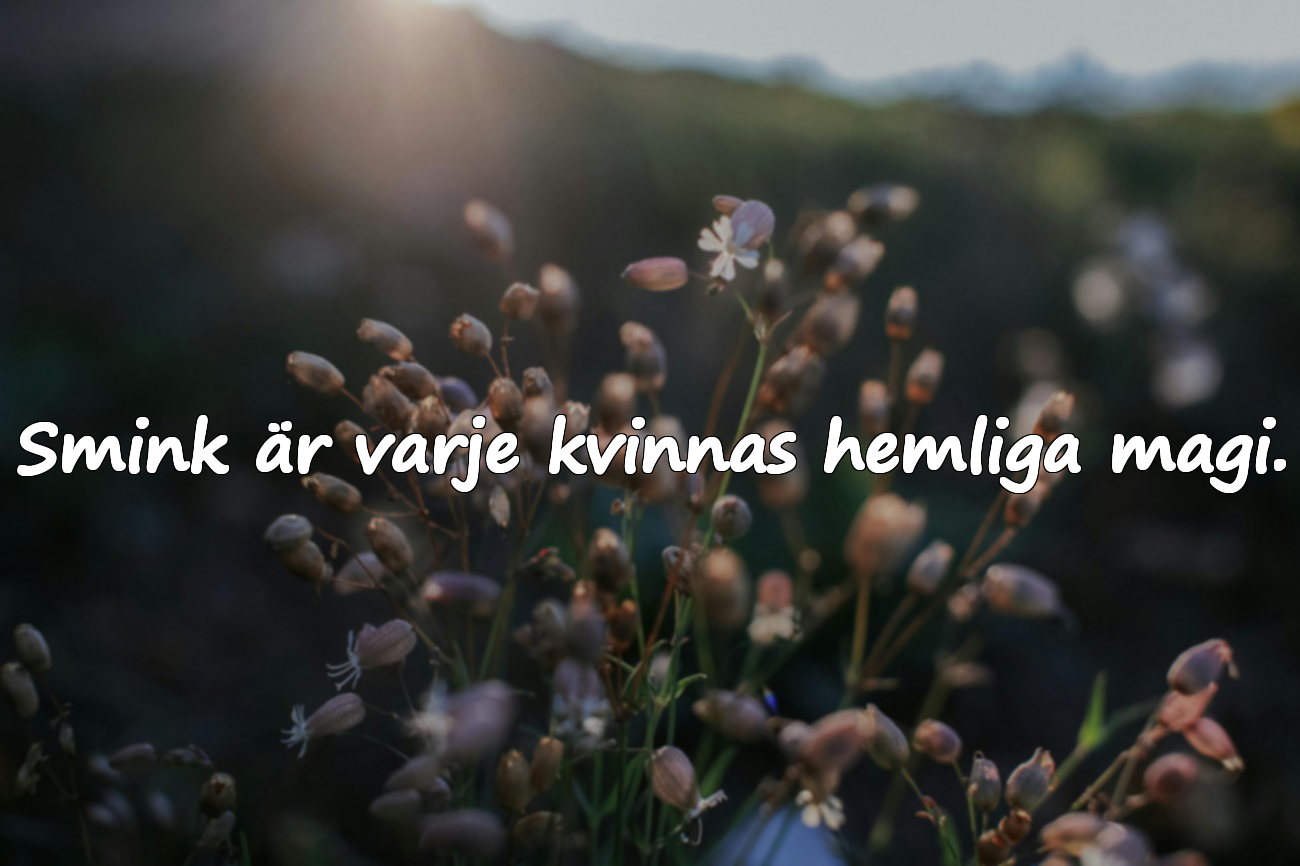 Sminkspråk