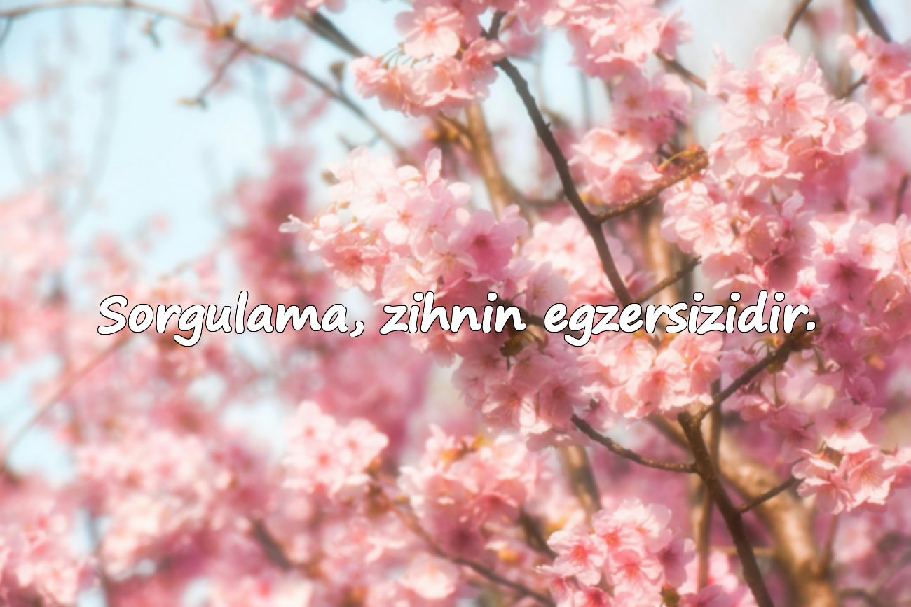 Sorgulama, zihnin egzersizidir.