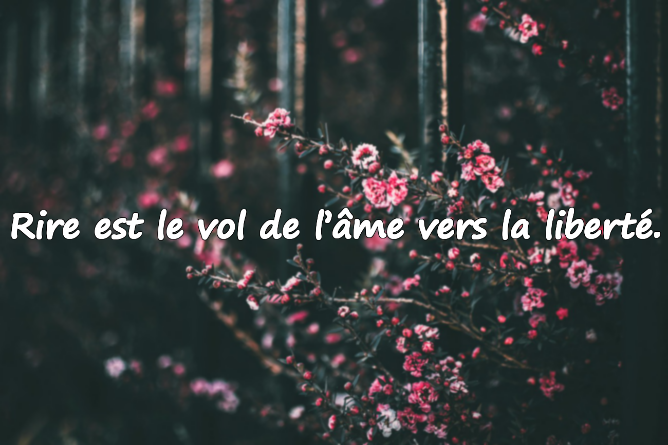 Sourire, Rire et Expressions de Sourire