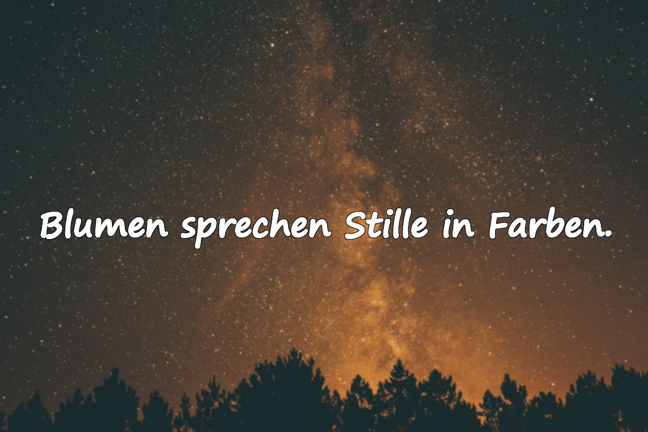 Blumen sprechen Stille in Farben.