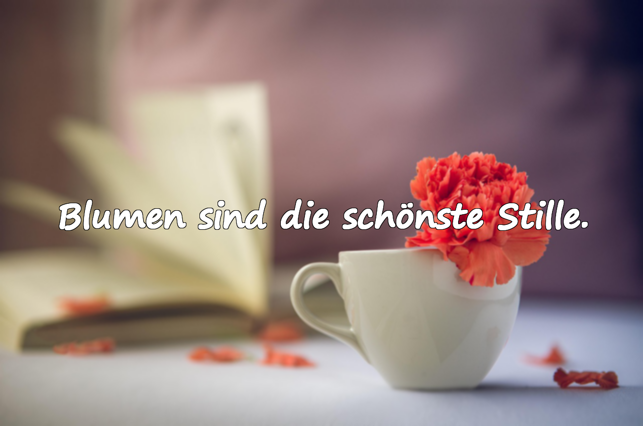 Sprüche über Blumen