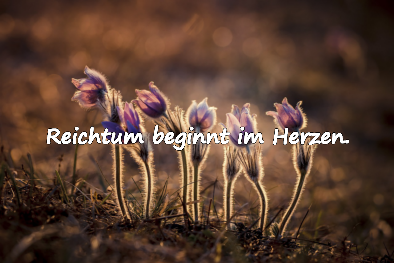Reichtum beginnt im Herzen.