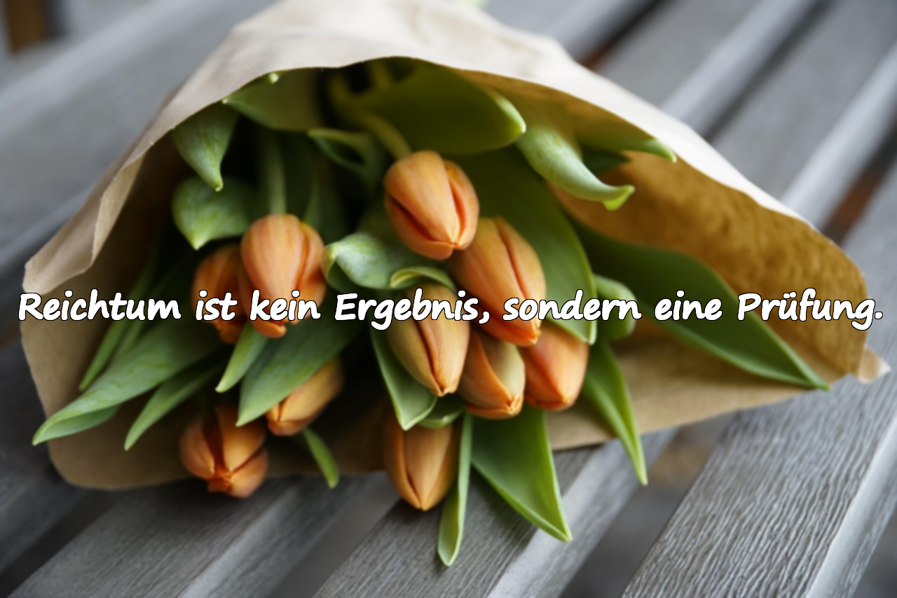 Reichtum ist kein Ergebnis, sondern eine Prüfung.
