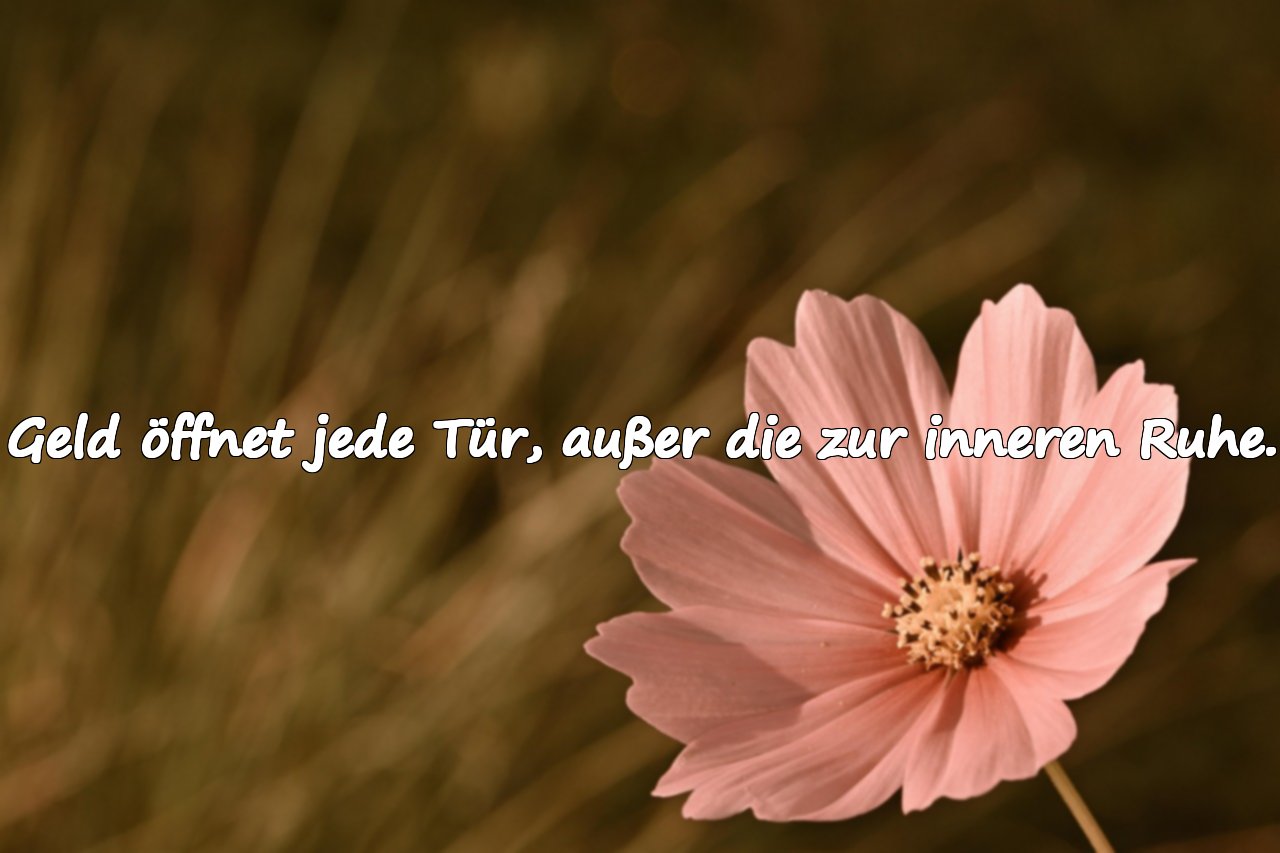 Geld öffnet jede Tür, außer die zur inneren Ruhe.