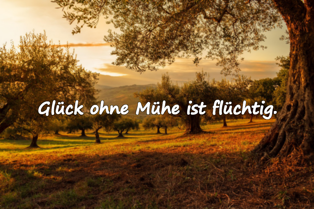 Glück ohne Mühe ist flüchtig.