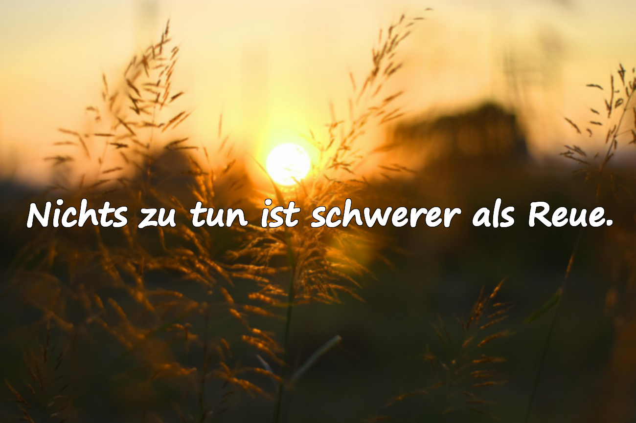 Sprüche über Reue