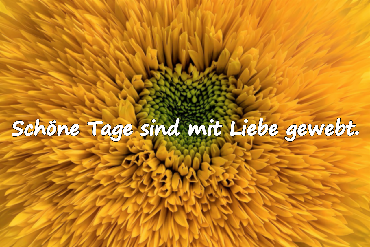 Sprüche über Schöne Tage