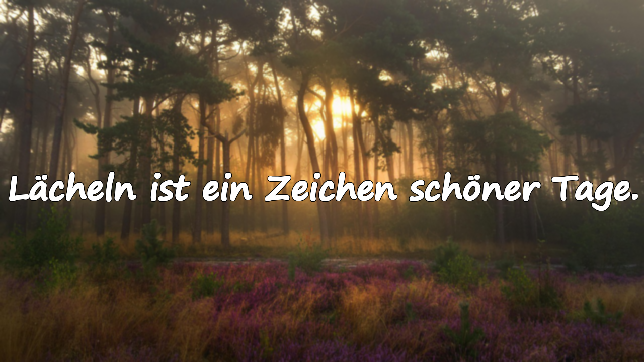 Sprüche über Schöne Tage