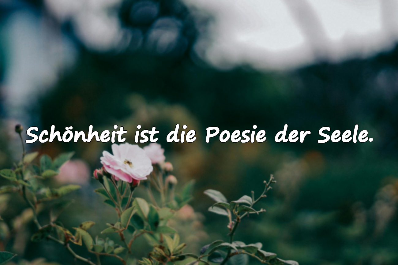 Schönheit ist die Poesie der Seele.