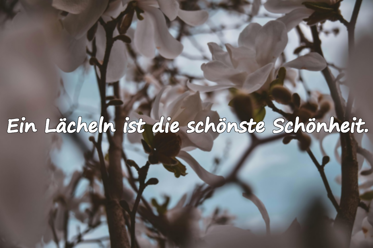 Sprüche über Schönheit