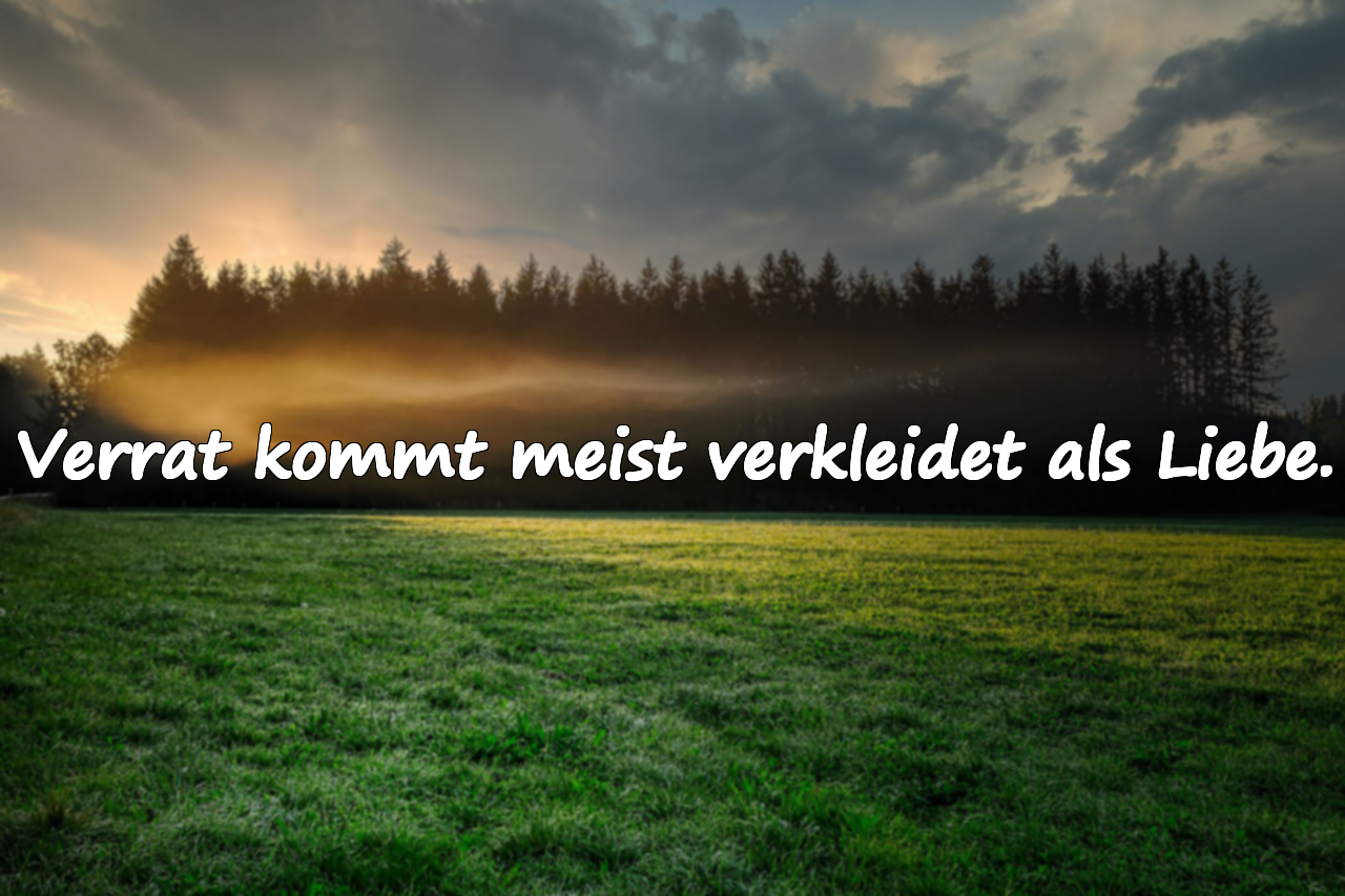 Sprüche über Untreue