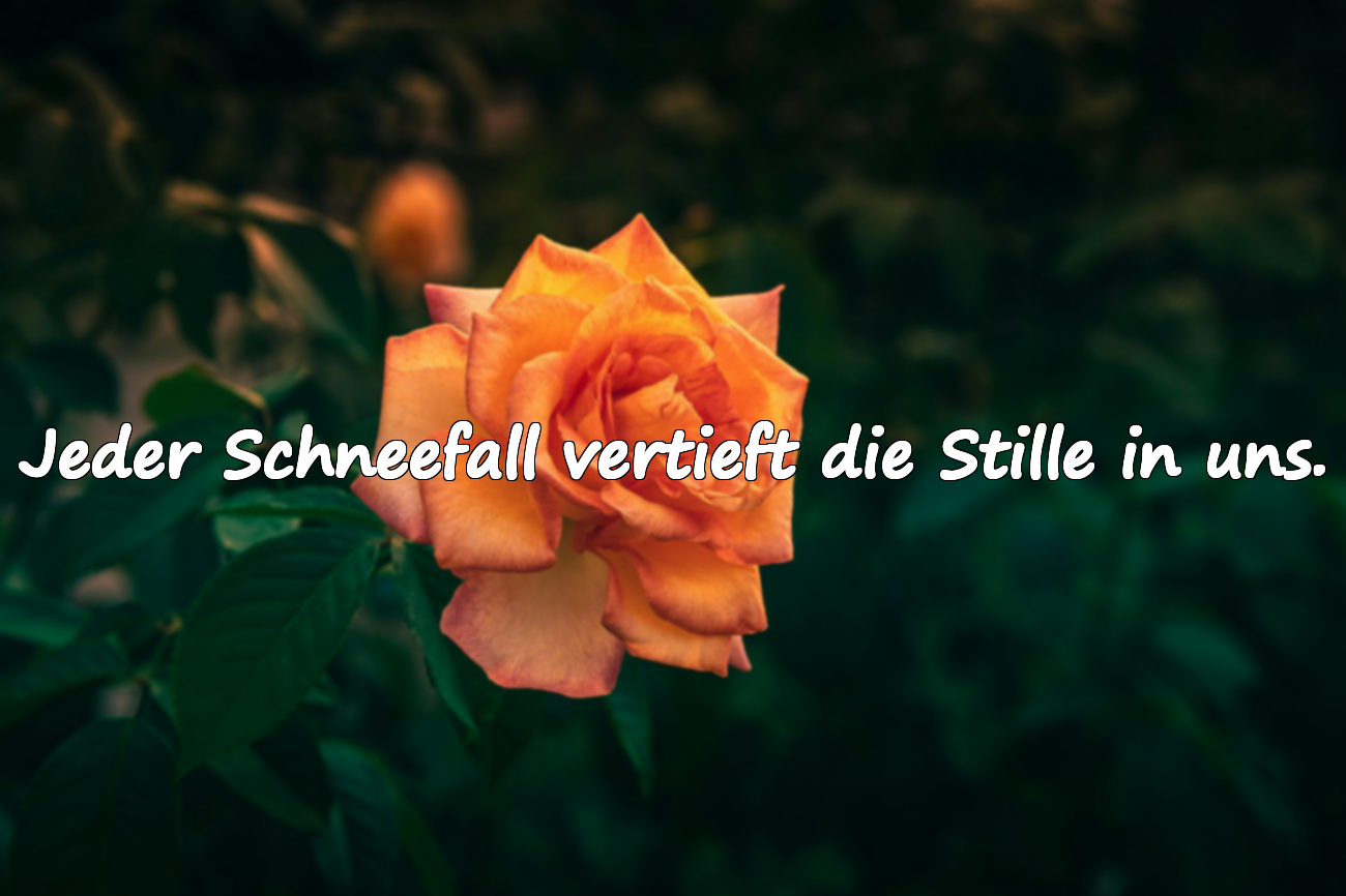 Jeder Schneefall vertieft die Stille in uns.