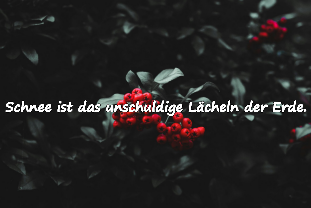 Schnee ist das unschuldige Lächeln der Erde.