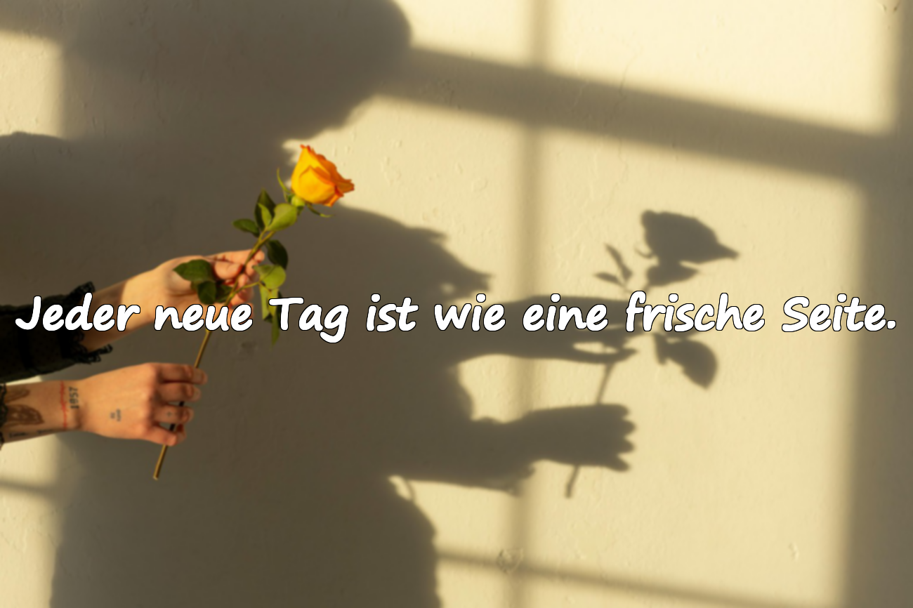 Sprüche über den Sonnenaufgang