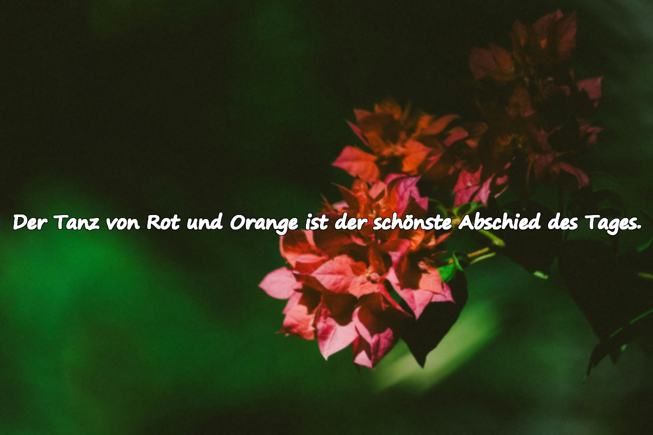 Sprüche über den Sonnenuntergang