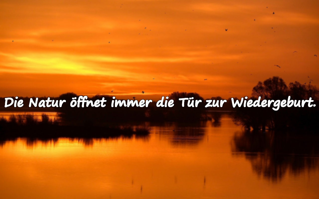 Sprüche über die Natur