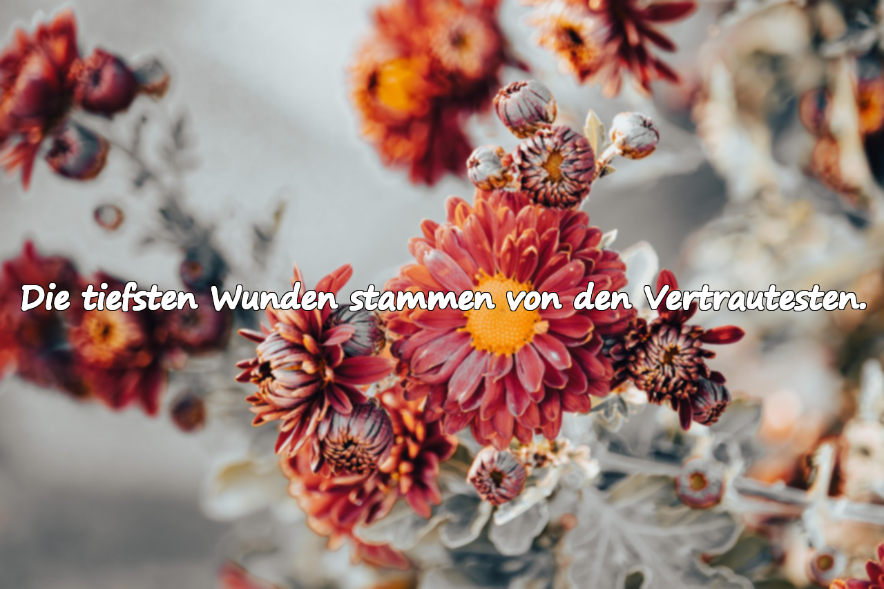 Die tiefsten Wunden stammen von den Vertrautesten.