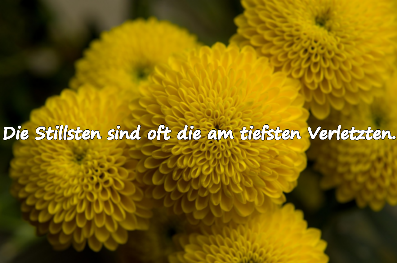 Die Stillsten sind oft die am tiefsten Verletzten.