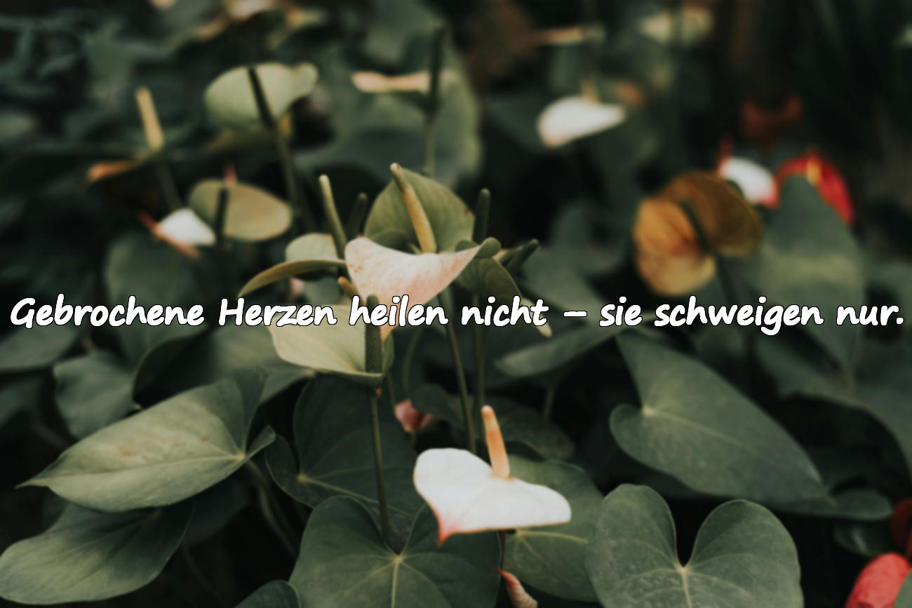 Gebrochene Herzen heilen nicht – sie schweigen nur.