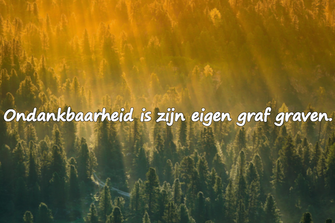 Spreuken Over Ondankbaarheid
