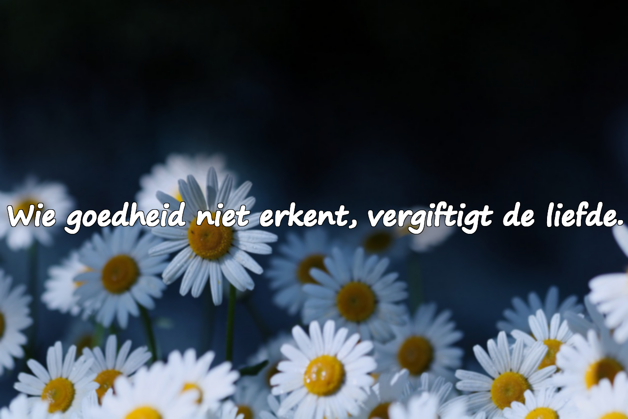 Spreuken Over Ondankbaarheid