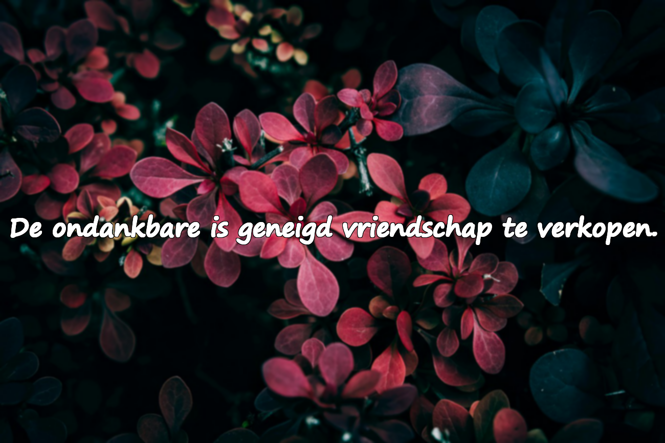 Spreuken Over Ondankbaarheid
