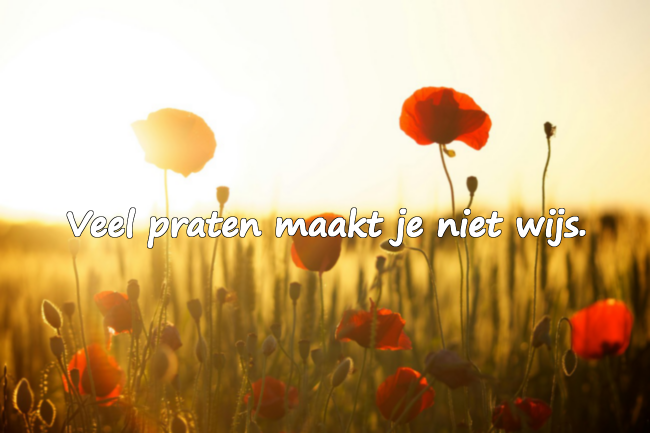 Spreuken over Arrogantie