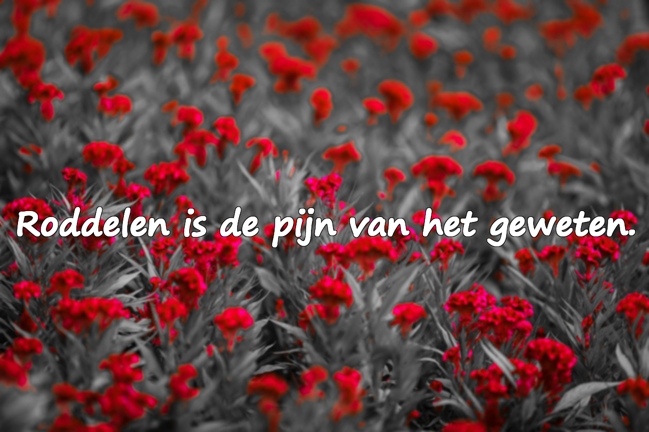 Spreuken over roddel