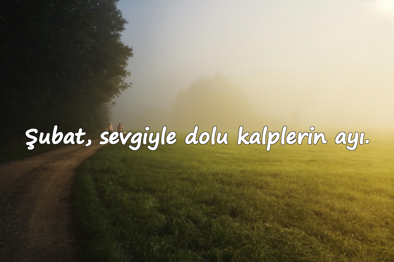 Şubat, sevgiyle dolu kalplerin ayı.