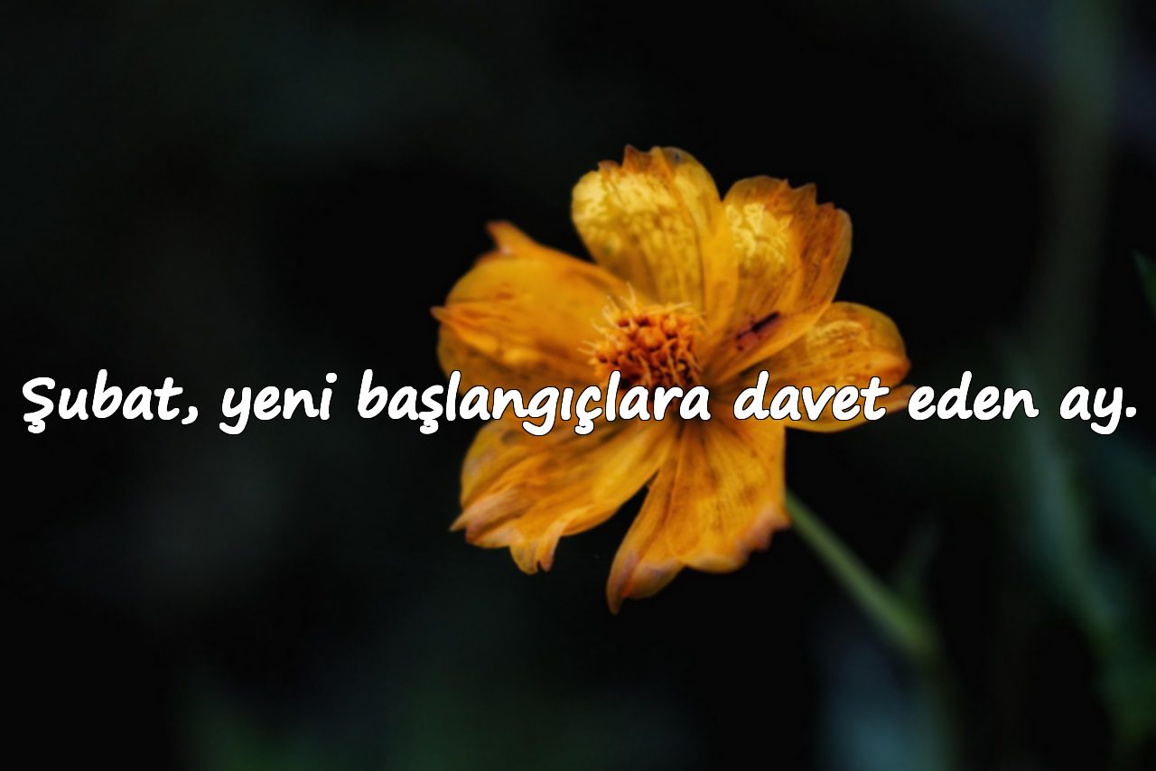 Şubat, yeni başlangıçlara davet eden ay.