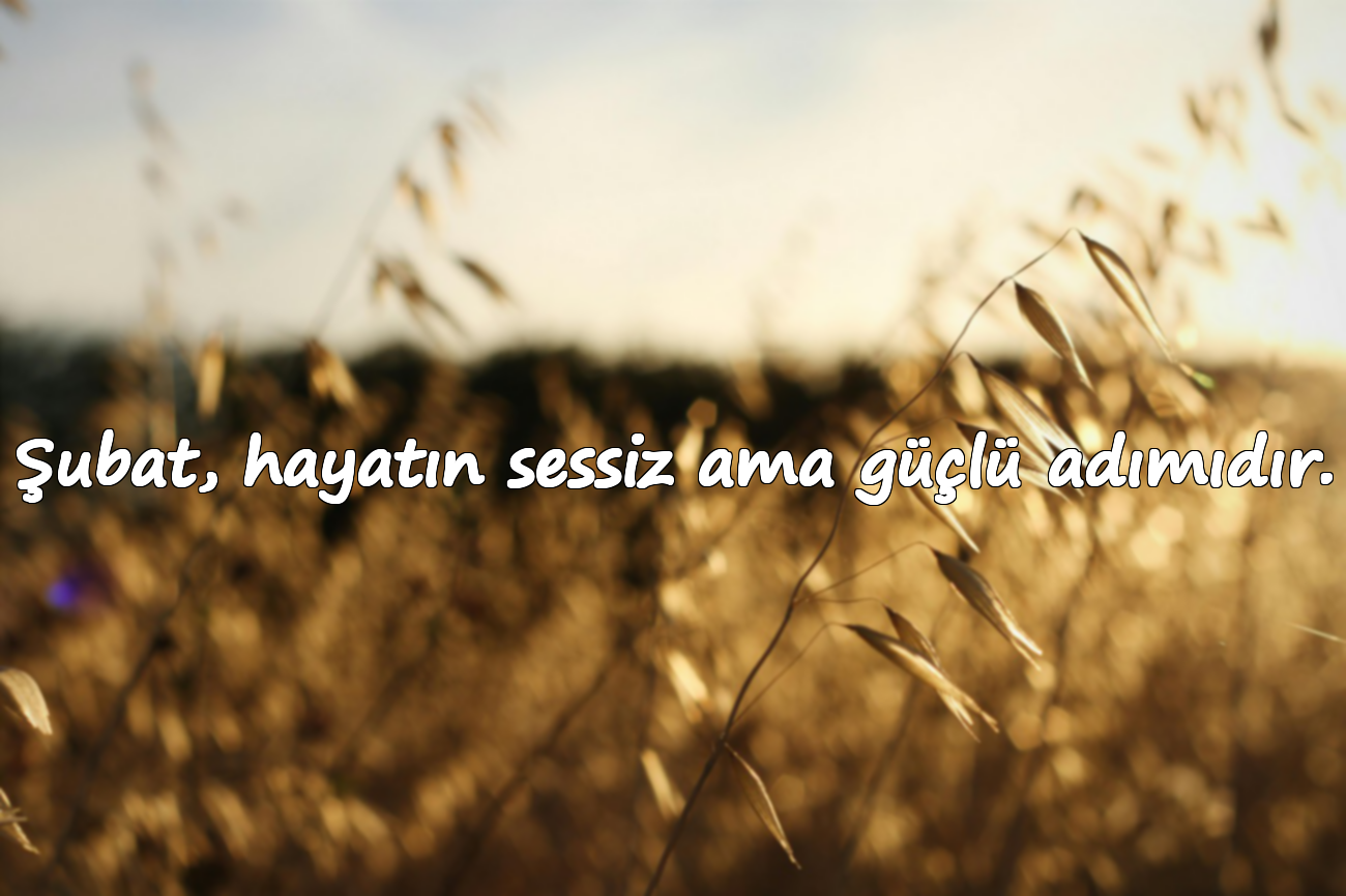 Şubat, hayatın sessiz ama güçlü adımıdır.